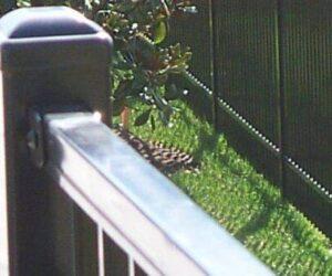 commercial-aluminum-railing-systems