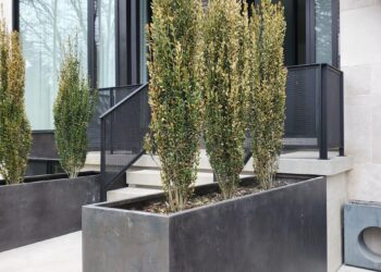 20210416_122130 20210416_122130