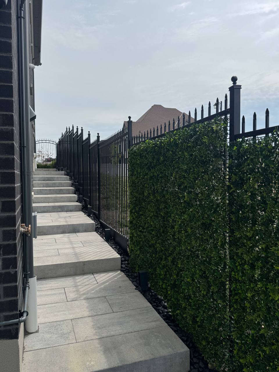 photo_2025-07-31_10-17-01